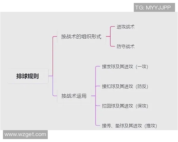 成都排球队反击战术解析与未来发展展望